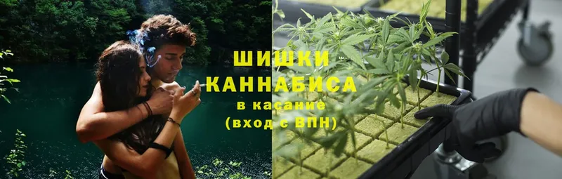 MEGA как зайти  Кушва  Бошки марихуана THC 21% 